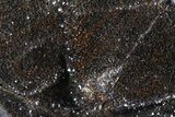 Bargain, Polished Septarian Geode Sculpture - Black Crystals #71876-3
